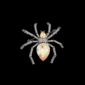 AVELIA Ember Crystal Spider Brooch